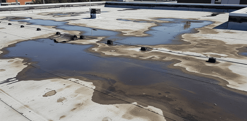 Dau-hieu-nhan-biet-mai-bang-bi-dong-nuoc-va-tham-dot