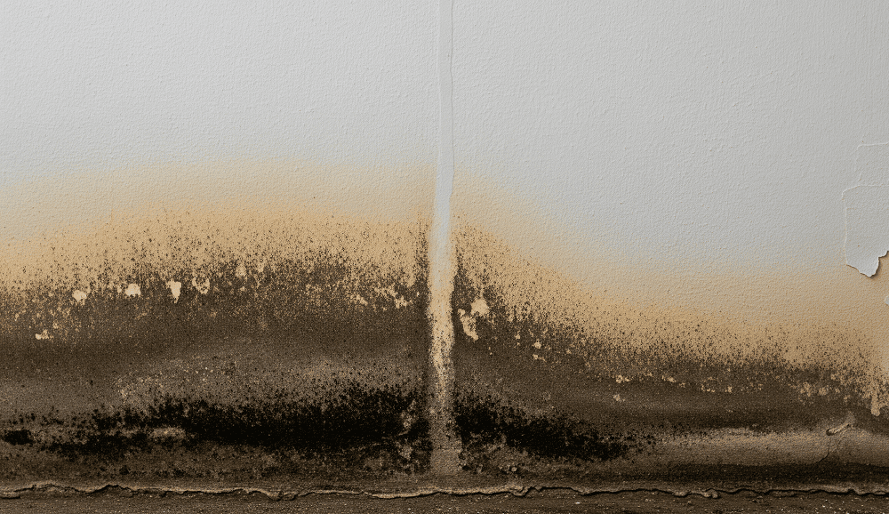 Hien-tuong-tuong-bi-am-moc-tu-chan-la-gi